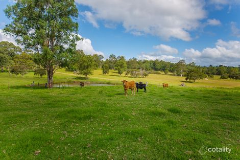 296 Youngs Rd, Wingham, NSW 2429