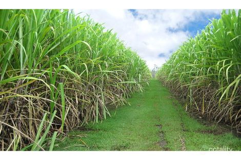 Property photo of 312 Gordons Road Alloway QLD 4670