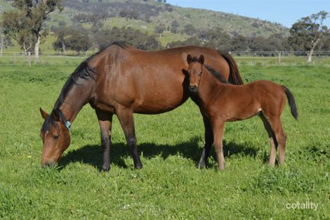 119 Balmattum Church Rd, Balmattum, VIC 3666