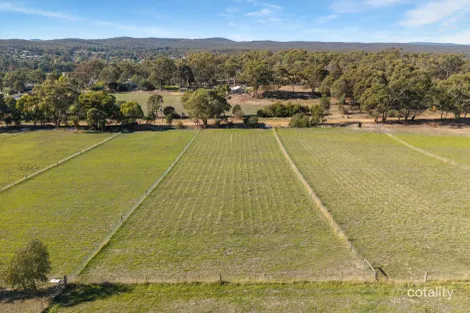 36 Dann St, Campbells Creek, VIC 3451
