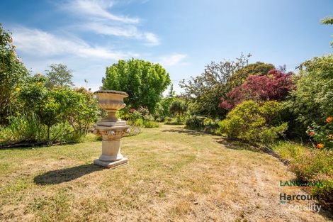 Property photo of 20 Lyons Street Yea VIC 3717