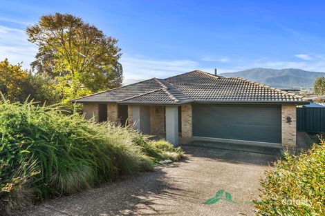 Property photo of 156 Kiewa Valley Highway Tawonga South VIC 3698