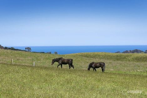 15 Horne Rd, Shoreham, VIC 3916