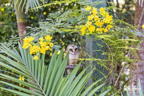 Property photo of 13-15 Mitchell Street Uki NSW 2484