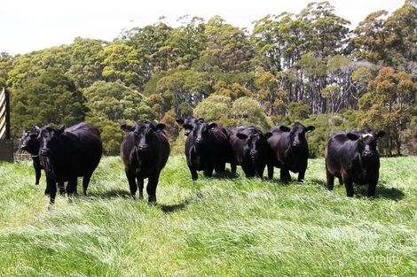 1008 Mengha Rd, Mengha, TAS 7330