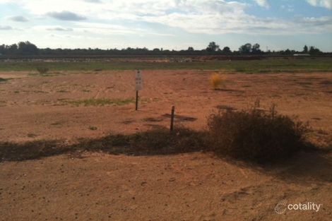 Property photo of 44 Phillips Road Berri SA 5343