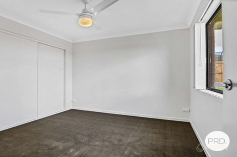 Property photo of 19 Fyfe Street Walloon QLD 4306