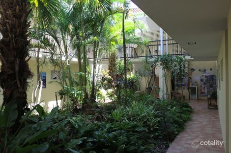 1/141-143 Grafton St, Cairns City, QLD 4870