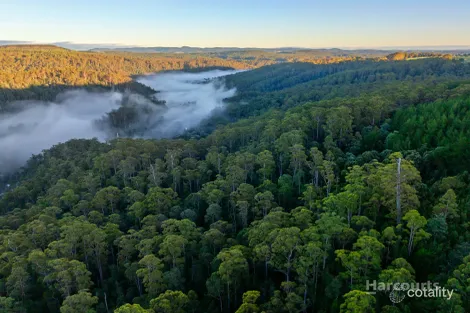 654 West Calder Rd, Calder, TAS 7325