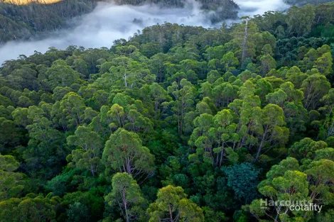 Property photo of 654 West Calder Road Calder TAS 7325