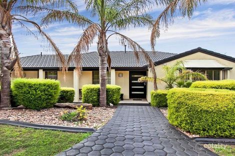 14 Neuville Ct, Wynn Vale, SA 5127