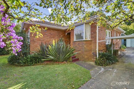 Property photo of 6 Roach Avenue Thornleigh NSW 2120