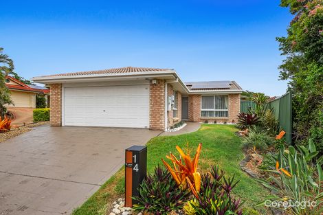 Property photo of 14 Bauhinia Close Eight Mile Plains QLD 4113