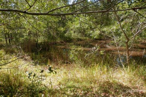 Property photo of 531B Long Gully Road Drake NSW 2469