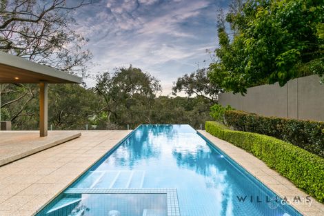 Property photo of 10 Zenith Avenue Burnside SA 5066