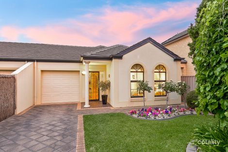 1b Clovelly Ave, Glenelg North, SA 5045