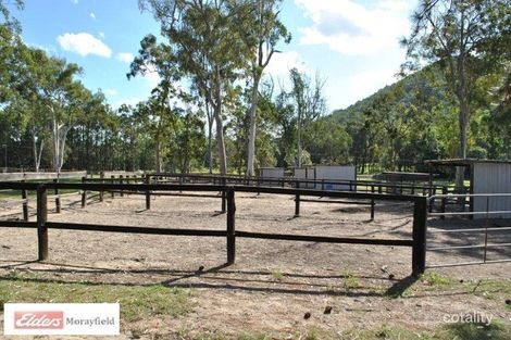 Property photo of 240 King Road Wamuran QLD 4512