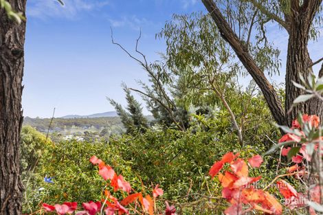Property photo of 43 Fletcher Street Castlemaine VIC 3450