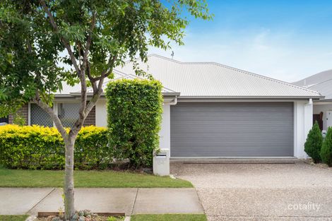 64 Minerva St, South Ripley, QLD 4306