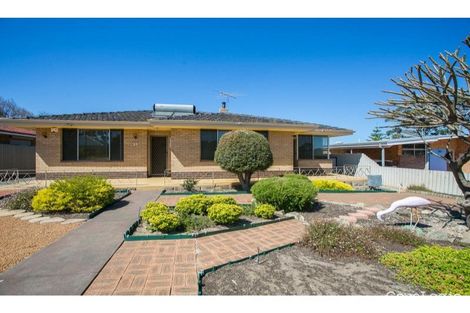 35 Bucat St, Hamilton Hill, WA 6163