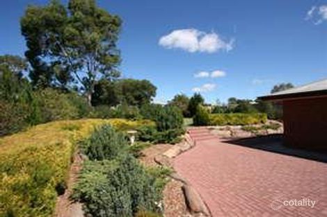 Property photo of 11 Colonel Light Drive Lyndoch SA 5351
