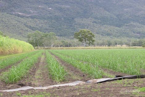 11 Sarri Rd, Mount Surround, QLD 4809