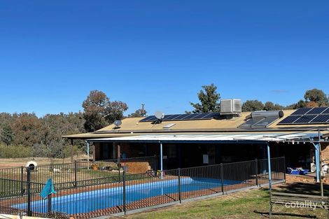 Property photo of 623 Cookamidgera Road Parkes NSW 2870