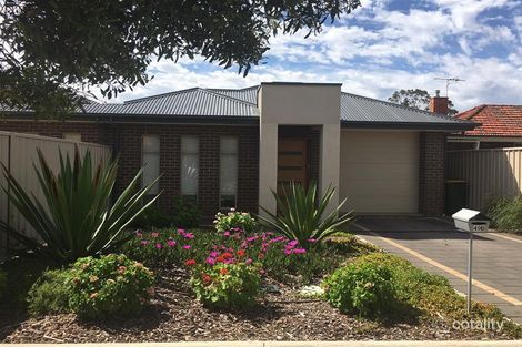 49a Norrie Ave, Clovelly Park, SA 5042