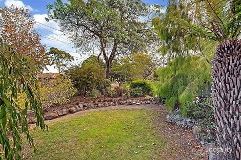 Property photo of 11 Avis Court Ringwood VIC 3134