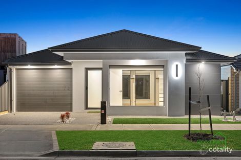 Property photo of 24 Jacksonia Drive Mickleham VIC 3064