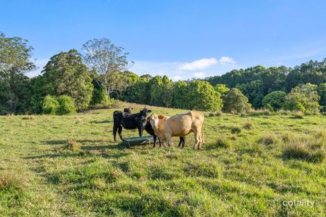 24 Jack Smiths Rd, Brays Creek, NSW 2484