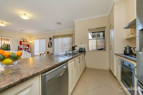 Property photo of 23 Colac Street Greenacres SA 5086