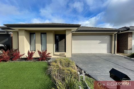 19 Goldeneye Cct, Werribee, VIC 3030