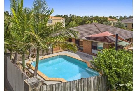 Property photo of 17 Gumleaf Drive Molendinar QLD 4214