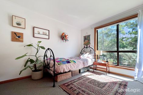 Property photo of 235 Ansons Bay Road St Helens TAS 7216