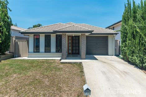 135 Seville Rd, Holland Park, QLD 4121