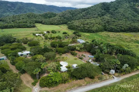 Property photo of 9 Palm Avenue Mowbray QLD 4877