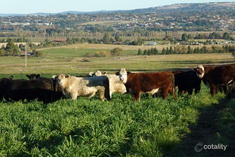 458 Eleven Mile Dr, Eglinton, NSW 2795