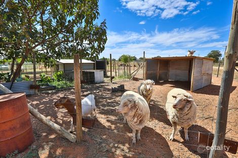 Property photo of 1125 Sturt Highway Merbein South VIC 3505