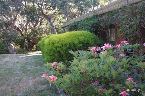 650 Fish Creek-Walkerville Rd, Walkerville, VIC 3956