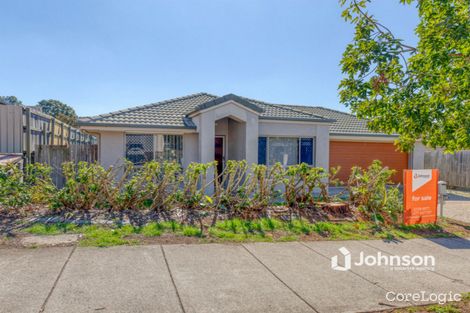 Property photo of 14 Admiral Crescent Springfield Lakes QLD 4300