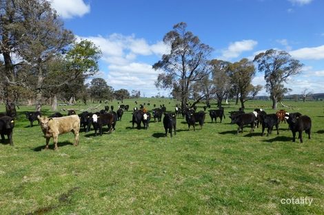 653 St Leonards Creek Rd, Walcha, NSW 2354