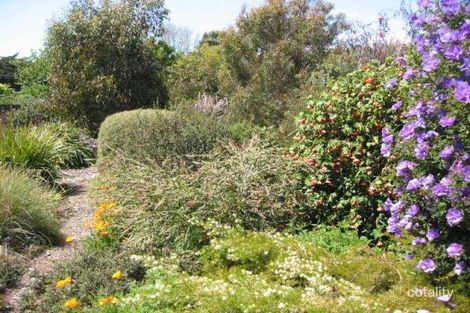 Property photo of 7 Manna Gum Close Inverloch VIC 3996