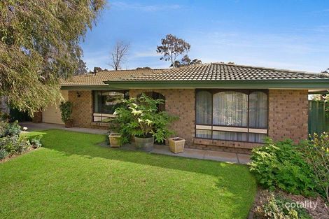 6 Waitara Rd, Banksia Park, SA 5091