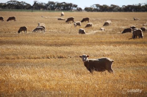 3856 Kulkami Rd, Lameroo, SA 5302