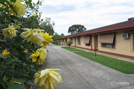 Property photo of 4/34 Dover Street Maylands SA 5069