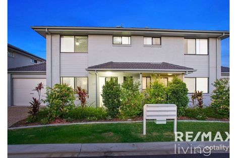 139/9 White Ibis Dr, Griffin, QLD 4503