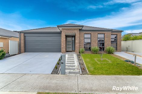 Property photo of 29 Garden Drive Epsom VIC 3551