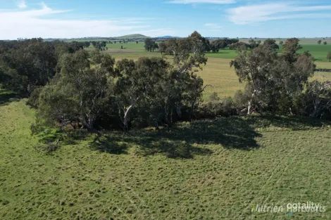 Property photo of 175 Landrigan Road Carisbrook VIC 3464