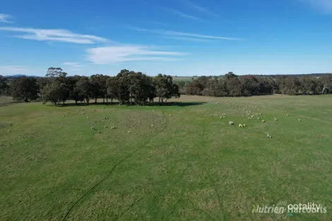 Property photo of 175 Landrigan Road Carisbrook VIC 3464